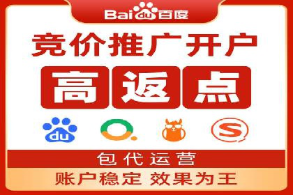 抖音信息流代理在电商行业的应用案例分析